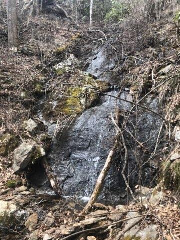 Wet Rocks
